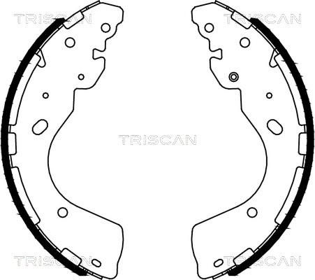 Triscan 8100 14012 - Комплект спирачна челюст vvparts.bg