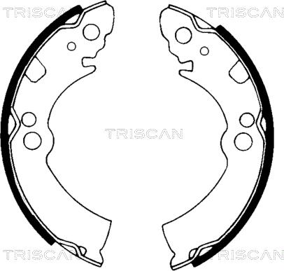 Triscan 8100 14396 - Комплект спирачна челюст vvparts.bg