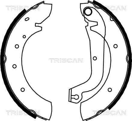 Triscan 8100 15480 - Комплект спирачна челюст vvparts.bg