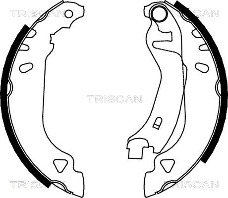 Triscan 8100 15482 - Комплект спирачна челюст vvparts.bg