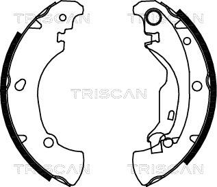 Triscan 8100 15625 - Комплект спирачна челюст vvparts.bg