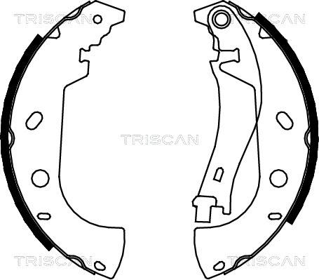 Triscan 8100 15626 - Комплект спирачна челюст vvparts.bg