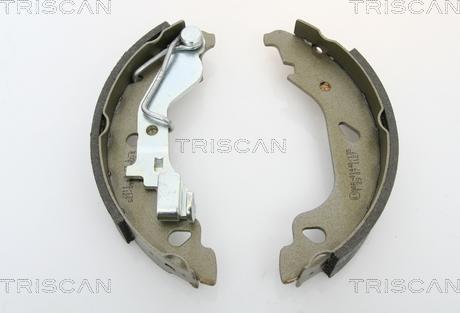 Triscan 8100 15013 - Комплект спирачна челюст vvparts.bg