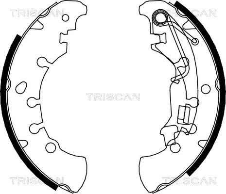 Triscan 8100 15023 - Комплект спирачна челюст vvparts.bg