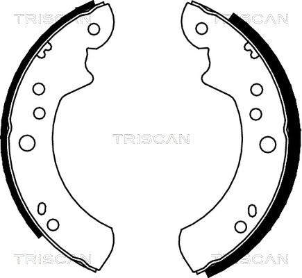 Triscan 8100 16446 - Комплект спирачна челюст vvparts.bg