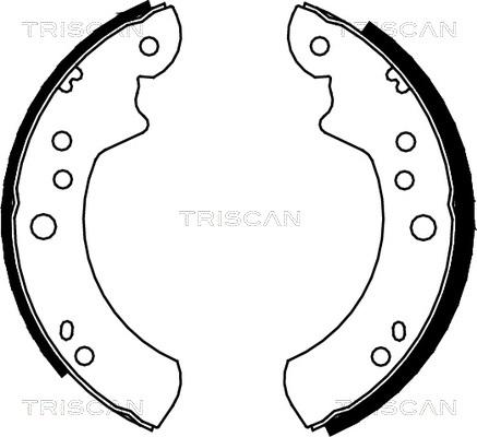 Triscan 8100 16443 - Комплект спирачна челюст vvparts.bg