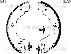 Triscan 8100 16541 - Комплект спирачна челюст vvparts.bg