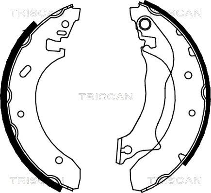 Triscan 8100 16559 - Комплект спирачна челюст vvparts.bg