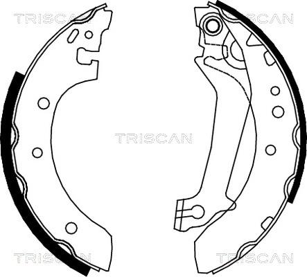 Triscan 8100 16587 - Комплект спирачна челюст vvparts.bg