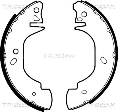 Triscan 8100 16570 - Комплект спирачна челюст vvparts.bg