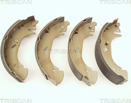 Triscan 8100 16571 - Комплект спирачна челюст vvparts.bg