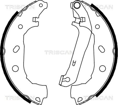 Triscan 8100 16009 - Комплект спирачна челюст vvparts.bg