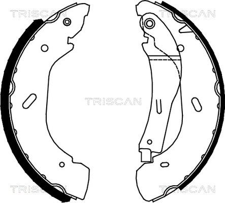 Triscan 8100 16005 - Комплект спирачна челюст vvparts.bg