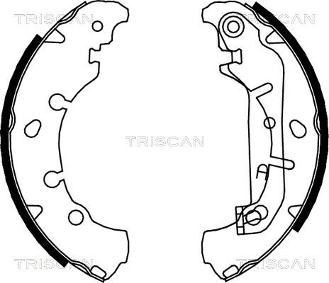 Triscan 8100 16006 - Комплект спирачна челюст vvparts.bg