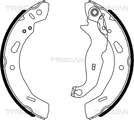 Triscan 8100 16013 - Комплект спирачна челюст vvparts.bg