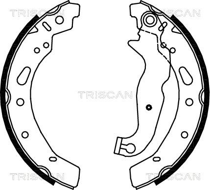 Triscan 8100 16012 - Комплект спирачна челюст vvparts.bg