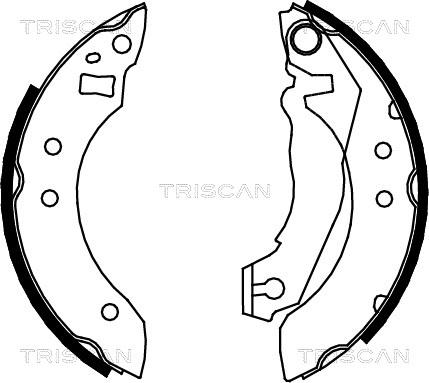 Triscan 8100 16355 - Комплект спирачна челюст vvparts.bg