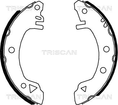 Triscan 8100 16375 - Комплект спирачна челюст vvparts.bg