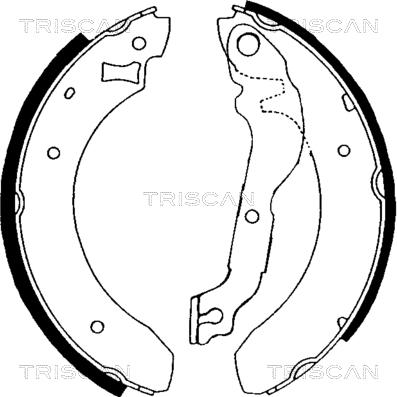 Triscan 8100 16376 - Комплект спирачна челюст vvparts.bg