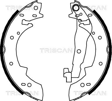 Triscan 8100 10447 - Комплект спирачна челюст vvparts.bg