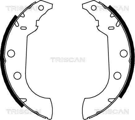 Triscan 8100 10489 - Комплект спирачна челюст vvparts.bg