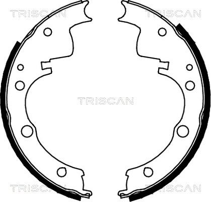 Triscan 8100 10436 - Комплект спирачна челюст vvparts.bg