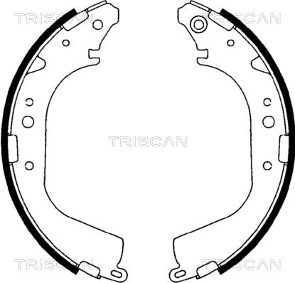 Triscan 8100 10425 - Комплект спирачна челюст vvparts.bg