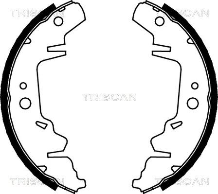 Triscan 8100 10593 - Комплект спирачна челюст vvparts.bg