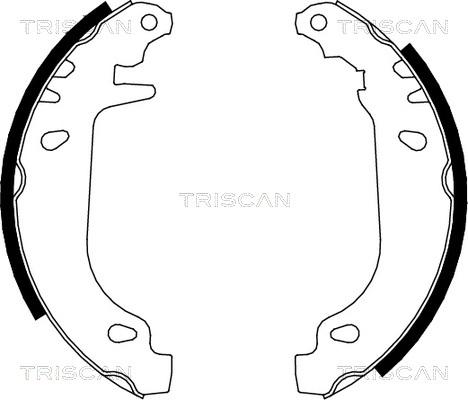 Triscan 8100 10545 - Комплект спирачна челюст vvparts.bg