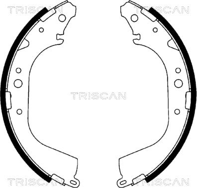 Triscan 8100 10519 - Комплект спирачна челюст vvparts.bg