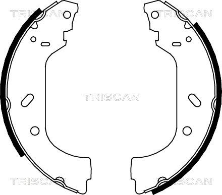 Triscan 8100 10588 - Комплект спирачна челюст vvparts.bg