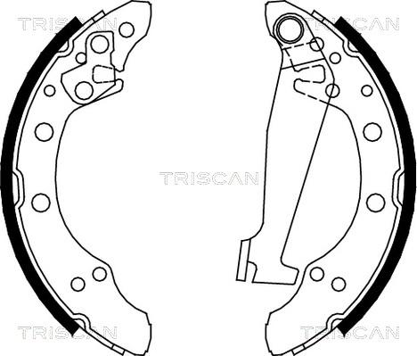 Triscan 8100 10520 - Комплект спирачна челюст vvparts.bg