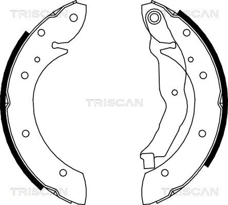 Triscan 8100 10575 - Комплект спирачна челюст vvparts.bg