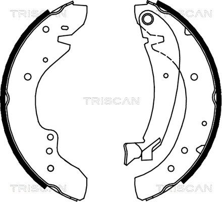 Triscan 8100 10573 - Комплект спирачна челюст vvparts.bg