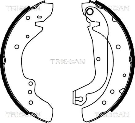 Triscan 8100 10577 - Комплект спирачна челюст vvparts.bg