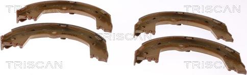 Triscan 8100 10630 - Комплект спирачна челюст, ръчна спирачка vvparts.bg