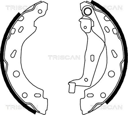 Triscan 8100 10005 - Комплект спирачна челюст vvparts.bg