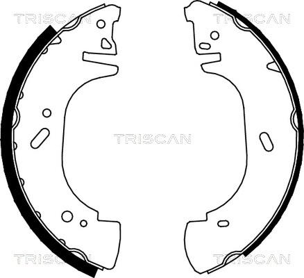 Triscan 8100 10002 - Комплект спирачна челюст vvparts.bg