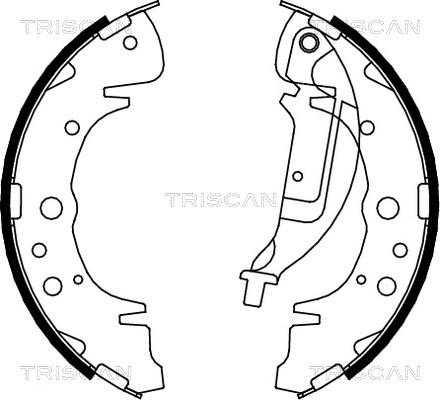 Triscan 8100 10019 - Комплект спирачна челюст vvparts.bg