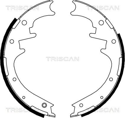 Triscan 8100 10016 - Комплект спирачна челюст vvparts.bg