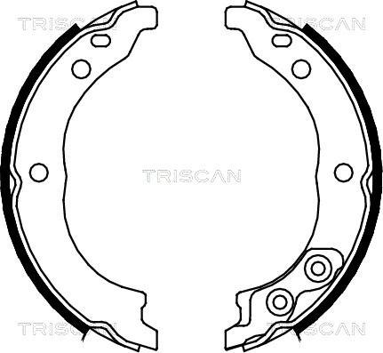 Triscan 8100 10010 - Комплект спирачна челюст, ръчна спирачка vvparts.bg