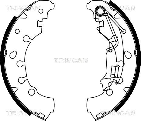 Triscan 8100 10011 - Комплект спирачна челюст vvparts.bg