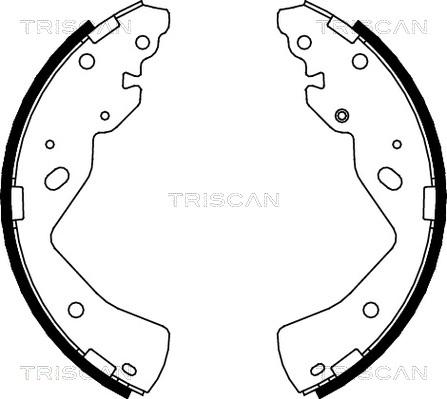 Triscan 8100 10018 - Комплект спирачна челюст vvparts.bg