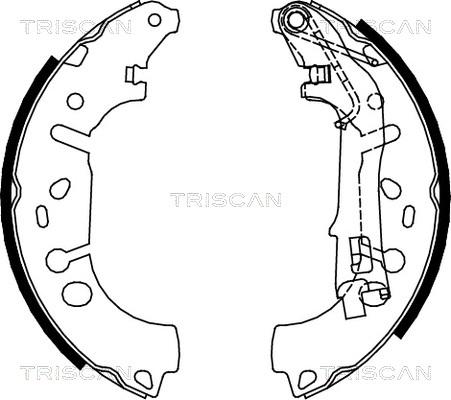 Triscan 8100 10012 - Комплект спирачна челюст vvparts.bg