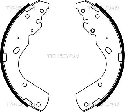 Triscan 8100 10017 - Комплект спирачна челюст vvparts.bg