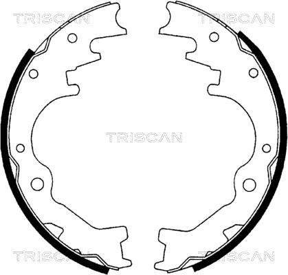 Triscan 8100 10035 - Комплект спирачна челюст vvparts.bg