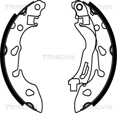 Triscan 8100 10038 - Комплект спирачна челюст vvparts.bg