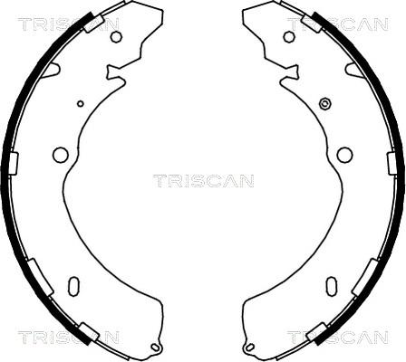 Triscan 8100 10032 - Комплект спирачна челюст vvparts.bg