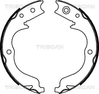 Triscan 8100 10029 - Комплект спирачна челюст vvparts.bg