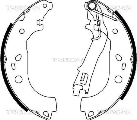 Triscan 8100 10028 - Комплект спирачна челюст vvparts.bg